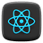 React icon